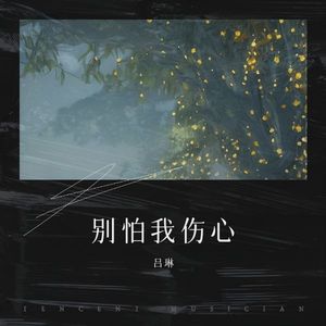 别怕我伤心
