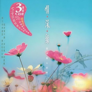 甄妮 - 玫瑰玫瑰我爱你