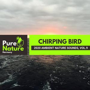 Chirping Bird - 2020 Ambient Nature Sounds, Vol.9