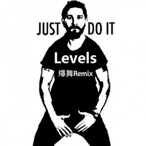 Levels DOIT! - Remix