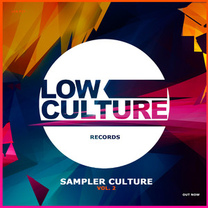 SAMPLER CULTURE 2