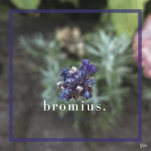 Bromius