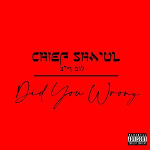 Did You Wrong (Explicit)