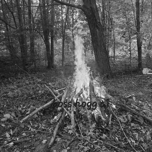 the cabin in Tennessee