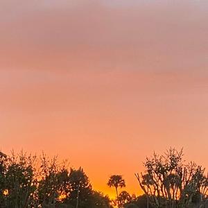 space song (Explicit)