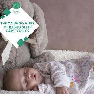 The Calming Vibes Of Babies Sleep Care, Vol. 02