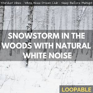 Snowstorm in the Woods with Natural White Noise (Loopable)