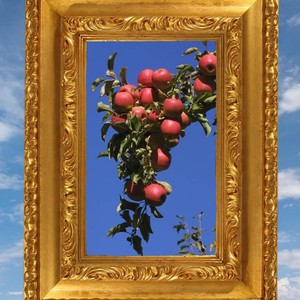 Rotten Apples (Explicit)