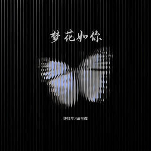 梦花如你