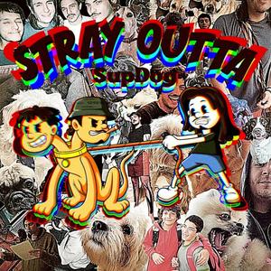 Stray Outta SupDog (Explicit)