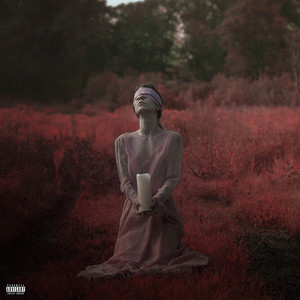 Chasing Shadows (Feat. Brandon Saller of Atreyu) (Explicit)