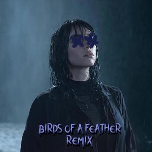 BIRDS OF A FEATHER (Remix)