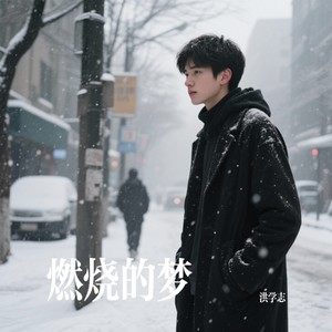 燃烧的梦封面