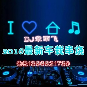 DJ2016最新DJ电音 (Remix)