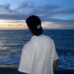 The King 2 (植物大战僵尸泳池Phonk)