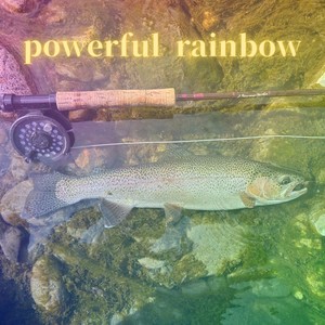 Powerful Rainbow