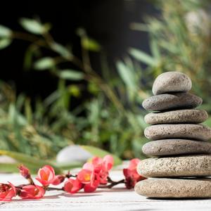 Stillness Within