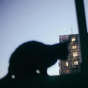 I AM SOBER (Explicit)