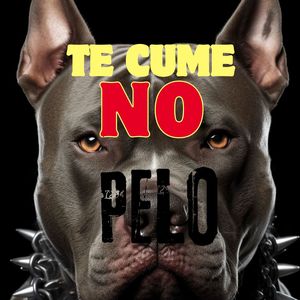 TE CUME NO PELO (Explicit)