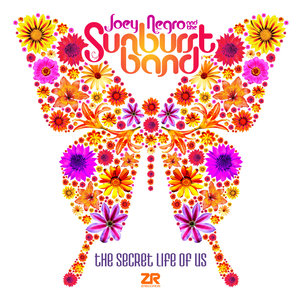 Where The Lights Meet The Music