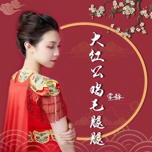 大红公鸡毛腿腿