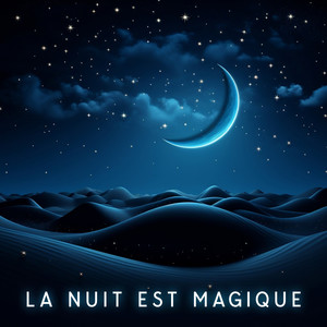 La nuit est magique (Dormir sous un ciel étoilé, musique de rêve de harpes, flûtes et hangdrums)