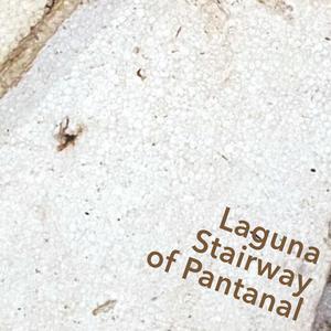 LAGUNA STAIRWAY OF PANTANAL