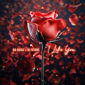 I Like You (Explicit)