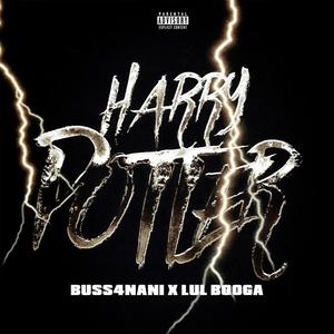 Harry potter (feat. Lul booga) [Explicit]