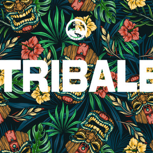 Tribale