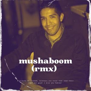 Mushaboom (Remix)