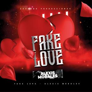 Fake Love (Explicit)