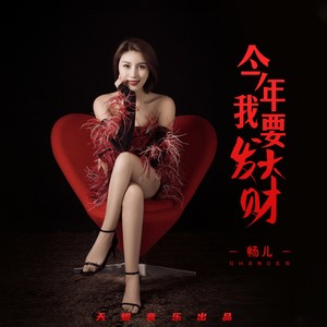 今年我要发大财 (DJ新版)