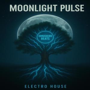 We Could Be Together (Electro House)