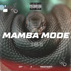Mamba Mode I & II (Explicit)