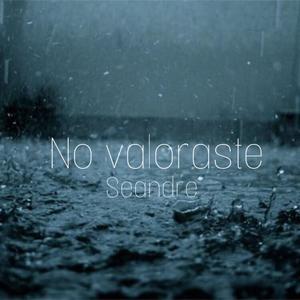 No Valoraste (Explicit)