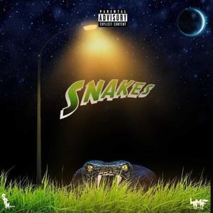 Snakes (feat. Lil 2800xo) (Explicit)