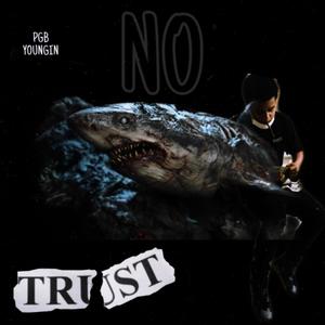 No Trust (Explicit)