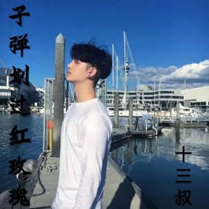 灰色轨迹 (DJ十三叔版)