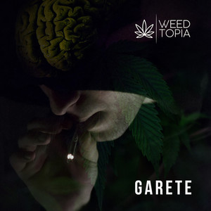 Weedtopia (Explicit)