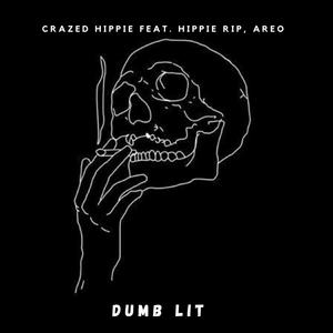 Dumb Lit (Explicit)