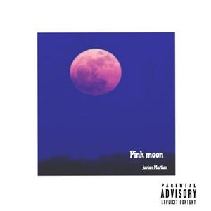 Pink Moon (Explicit)