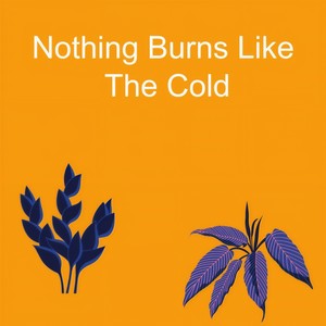 Nothing Burns Like The Cold