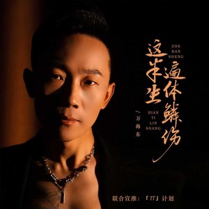 这半生遍体鳞伤