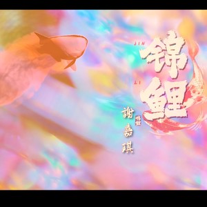 锦鲤 (伴奏)