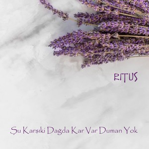 Şu Karşıki Dağda Kar Var Duman Yok (feat. İlker Akyol)