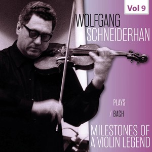 Violin Concerto No. 2 in E Major, BWV 1042 - I. Allegro