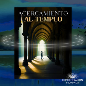 Concentración Profunda - Specter Falling