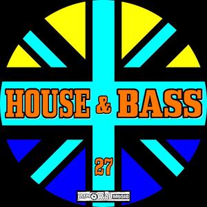 House & Bass Vol.27