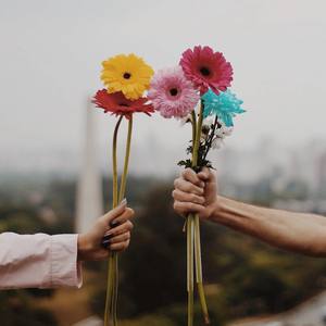 打蓝 Pt 2 Feat. 玩全能